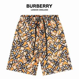 Picture of Burberry Pants Short _SKUBurberryM-3XLjdtxk2118924